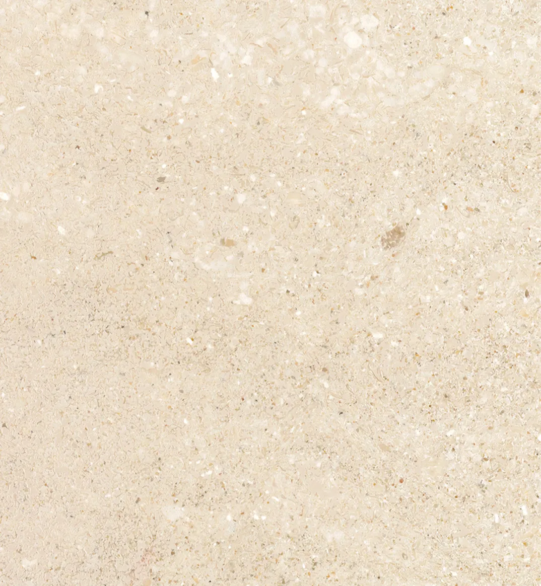 Caliza Lumaquela
