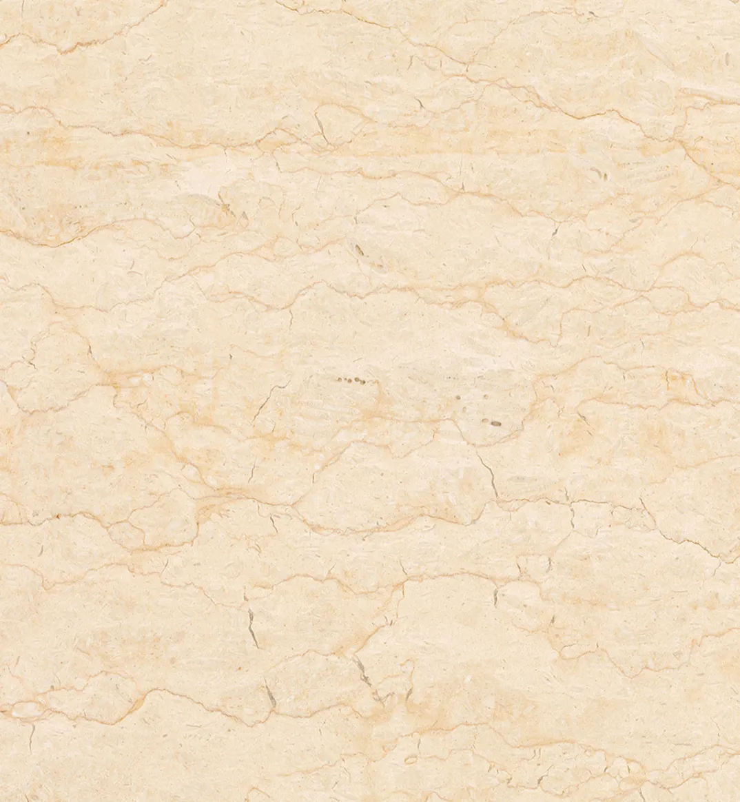 Crema Silvia raw