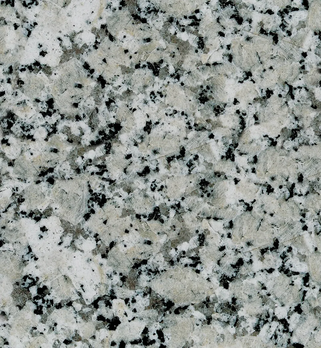 Gris Perla raw