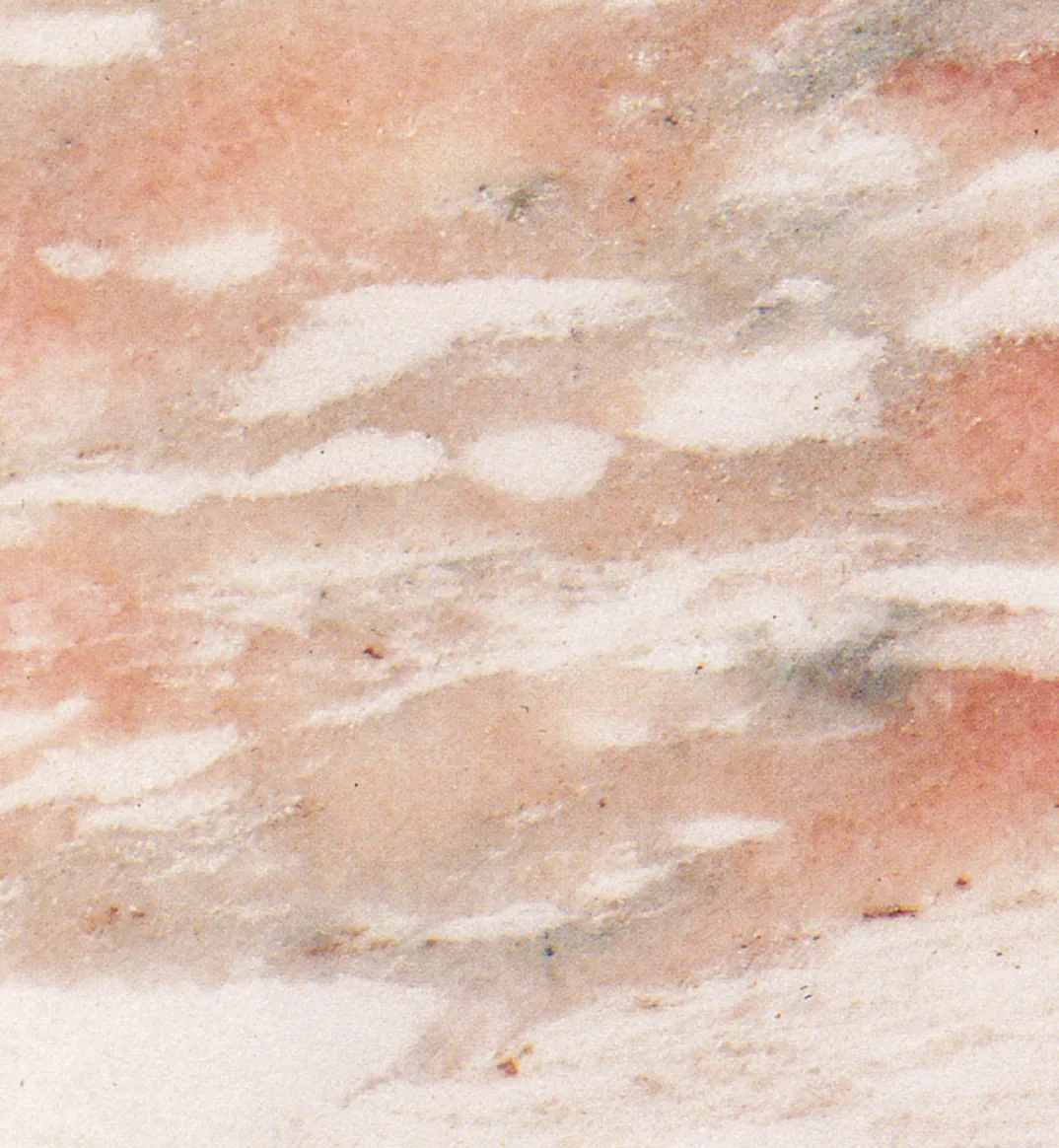 Rosa Noruegia raw